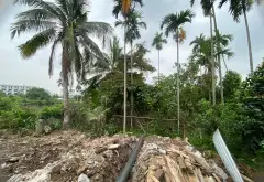 Bán đất xã Hòa Nhất diện tích 244m² gần đường Nguyễn Trường Tộ, phù hợp đầu tư... Bán đất tại An Hải, Hải Phòng 02