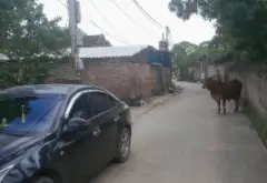 Siêu phẩm đất nền thôn Đô Tân, Bắc Sơn, Sóc Sơn... Bán đất tại Trung Giã, Hà Nội 14