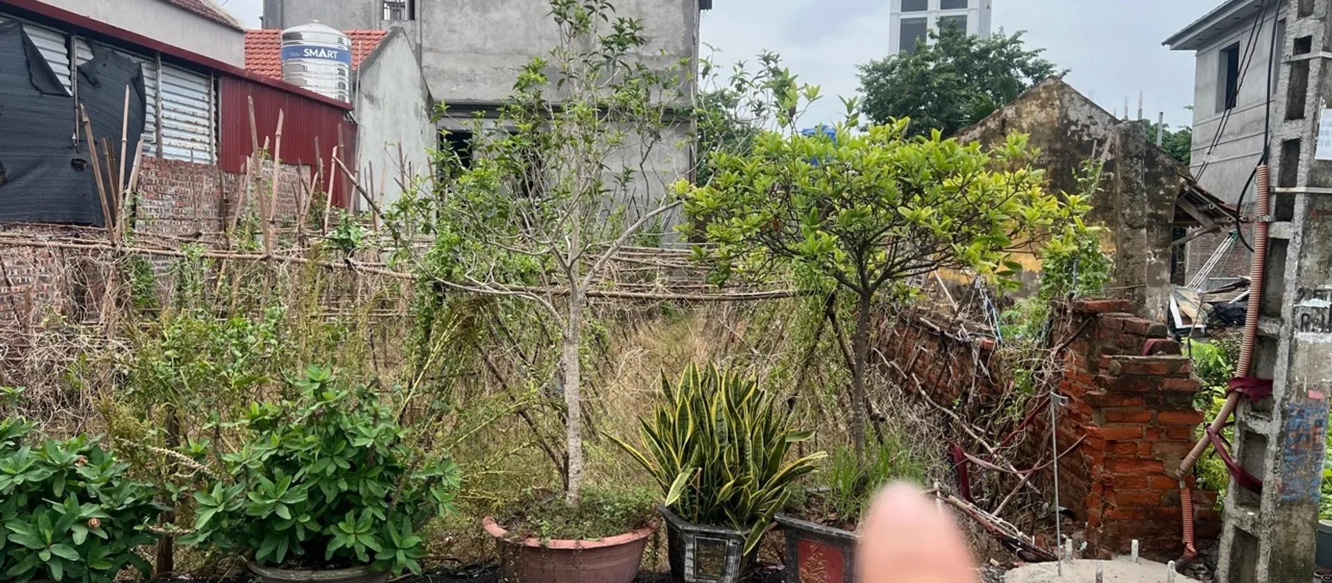Mảnh Đất Vàng Xã Triệu Việt Vương - Cơ Hội Đầu Tư Sinh Lời... Bán đất tại Triệu Việt Vương, Hưng Yên 01