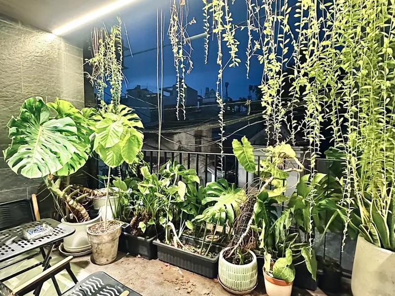 Bán nhà 6 tầng mặt tiền rộng 11.5m tại Tân Sơn Nhì, giá 12.9 tỷ... Bán nhà riêng tại Tân Sơn Nhì, Hồ Chí Minh 01