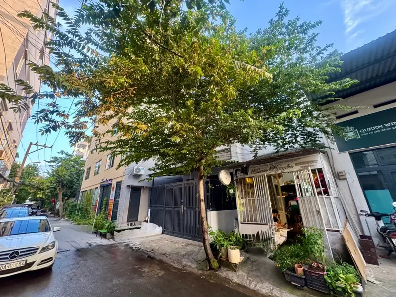 Siêu phẩm 105m2 Quang Trung kèm dãy trọ thu nhập ổn định... Bán nhà riêng tại An Hội Tây, Hồ Chí Minh 01