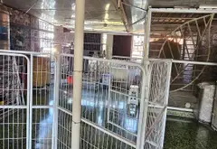Nhà mặt phố Phú Nhuận, cơ hội kinh doanh đỉnh cao... Bán nhà mặt phố tại Phú Nhuận, Hồ Chí Minh 16
