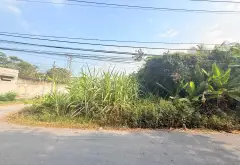 Bán đất mặt tiền đường Nguyễn Thị Da, xã Bình Mỹ, Hóc Môn, diện tích 393m2, pháp lý rõ ràng... Bán đất tại Bình Mỹ, Hồ Chí Minh 01