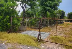 GIẢM CỰC SÂU 30 TỶ CÒN 30 TỶ: BÁN 5.839M² ĐẤT (250M² THỔ CƯ) PHAN VĂN HỚN, HÓC MÔN... Bán đất tại Bà Điểm, Hồ Chí Minh 13