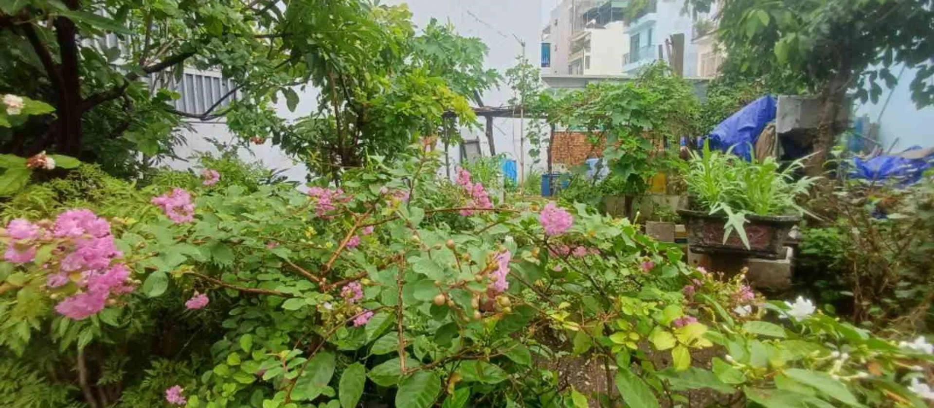 🔥 ĐẤT 109M2 -MẶT TIỀN HXH 6M THÔNG TỨ PHÍA- CÁCH LÊ VĂN THỊNH/ CHỢ CÂY XOÀI QUẬN 2 CHỈ 200M... Bán đất tại Cát Lái, Hồ Chí Minh 01
