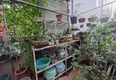 Bán đất mặt phố Nguyễn Khắc Nhu quận Ba Đình diện tích 173m2 mặt tiền 7.6m... Bán đất tại Ba Đình, Hà Nội 07