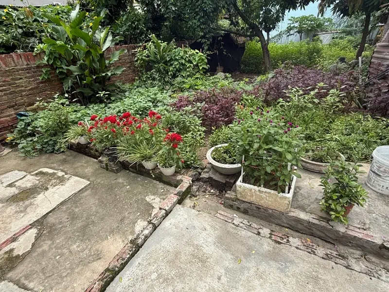 Đất vuông nhỏ xinh Sóc Sơn, sở hữu dễ dàng giá tốt... Bán đất tại Nội Bài, Hà Nội 01