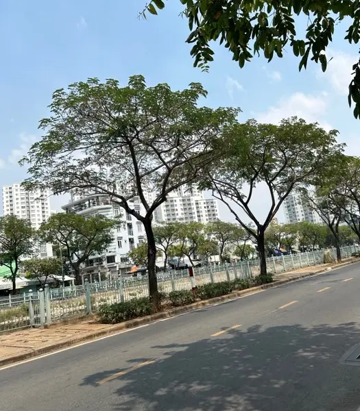 Cơ hội sở hữu nhà rộng 79m2, 5 phòng ngủ, giá ưu đãi tại Quận 6... Bán nhà riêng tại Bình Tiên, Hồ Chí Minh 01