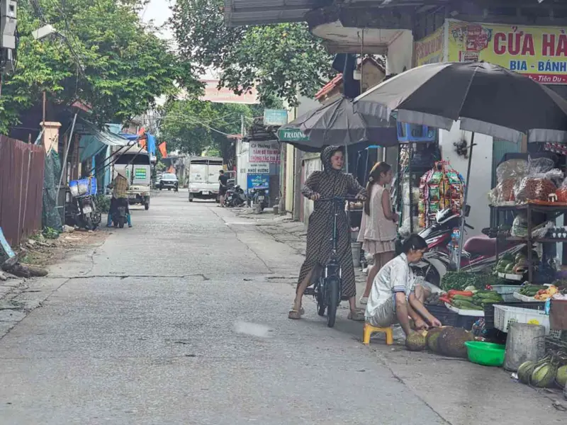 Lô đất vuông vắn xã Phật Tích Bắc Ninh giá tốt cho đầu tư sinh lời... Bán đất tại Phật Tích, Bắc Ninh 01