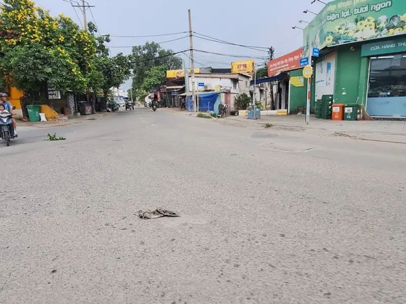 Kho xưởng giá tốt, mặt tiền rộng tại Tam Bình... Bán kho, nhà xưởng tại Tam Bình, Hồ Chí Minh 01