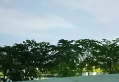 Bán nhà 3 tầng 64m2 tại Bình Hưng Hòa A, hẻm xe tải, chỉ 6 tỷ... Bán nhà riêng tại Bình Tân, Hồ Chí Minh 15