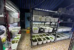 Nhà 3 tầng kiên cố trung tâm Phường Bảy Hiền, cơ hội đầu tư giá tốt... Bán nhà riêng tại Bảy Hiền, Hồ Chí Minh 09