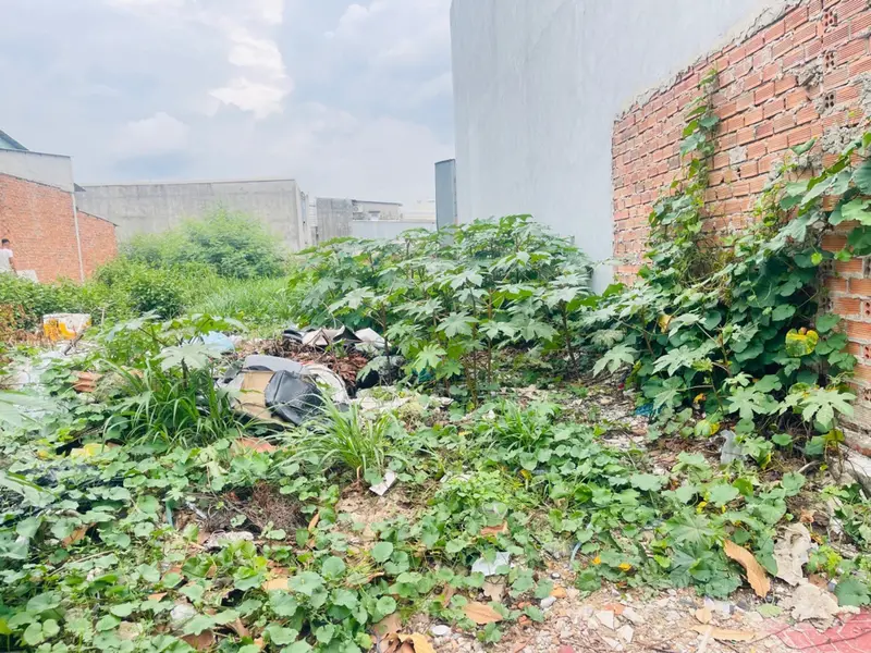 Bán nhà mặt phố diện tích 297m² tại phường Đông Hòa, TP.HCM... Bán nhà mặt phố tại Đông Hòa, Hồ Chí Minh 01