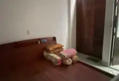 Nhà mặt phố hiếm có tại Cư Xá Phú Lâm D, giá cực tốt, giảm ngay 150 triệu... Bán nhà mặt phố tại Bình Phú, Hồ Chí Minh 02