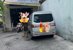 HỒNG LẠC - ĐỒNG ĐEN - BÀU CÁT - P.BẢY HIỀN - TÂN BÌNH... Bán nhà riêng tại Bảy Hiền, Hồ Chí Minh 06