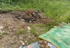 Bán đất thổ cư tại xã Đại Đồng, Bắc Ninh, mặt tiền 8.5m, đường ôtô vào tận nơi... Bán đất tại Đại Đồng, Bắc Ninh 05