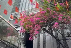 Bán nhà 7 tầng mặt tiền rộng tại quận Tây Hồ... Bán nhà riêng tại Bảy Hiền, Hồ Chí Minh 01