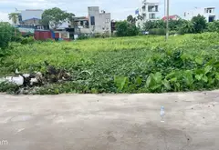 Bán đất thổ cư 70m2 tại xã Đường Đá Hoa Động, vị trí tiếp giáp dự án Dorri và Hoàng Huy... Bán đất tại Thủy Nguyên, Hải Phòng 05