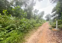 Đất Vàng 4000m² Đẹp Nhất Sóc Sơn - Cơ Hội Vàng Cho Nhà Đầu Tư!... Bán owner_side tại Sóc Sơn, Hà Nội 04