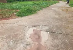 Bán đất thôn 5 Thủy Sơn, Thủy Nguyên diện tích 63.4m2 hướng Đông Nam pháp lý cơ sở... Bán đất tại Thủy Nguyên, Hải Phòng 05