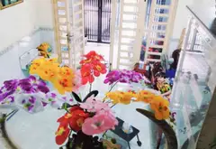 Bán nhà mặt phố 4 tầng có sân thượng tại quận Bình Tân, giá 8.5 tỷ... Bán nhà mặt phố tại Bình Hưng Hòa, Hồ Chí Minh 07