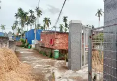 Đất thổ cư hướng Đông tại Trà Sơn, phù hợp an cư và đầu tư lâu dài... Bán đất tại Lưu Kiếm, Hải Phòng 10
