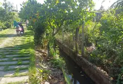 Bán đất 5046m2 hướng Nam, sổ gộp 3 nền tại khu vực thuận tiện... Bán đất tại Bình Lợi, Hồ Chí Minh 02