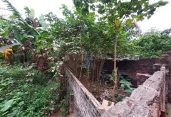 Cơ hội sở hữu đất Vạn Phúc mặt đường ô tô tránh, giá tốt, tiềm năng tăng giá... Bán đất tại Nam Phù, Hà Nội 12