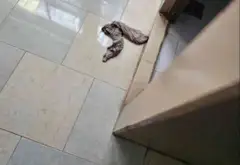Nhà mặt phố rộng rãi, tiện kinh doanh Quận Tân Phú... Bán nhà mặt phố tại Phú Thọ Hòa, Hồ Chí Minh 07