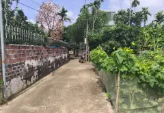 Bán đất lô góc 2 mặt thoáng tại trung tâm xã Lâm Động... Bán đất tại Thiên Hương, Hải Phòng 02