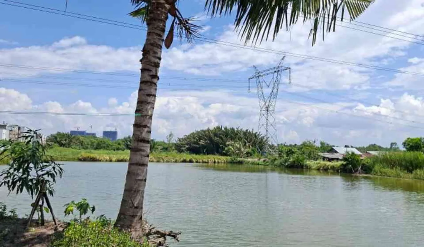 NHÀ CẤP 4 – 157M² – VIEW SÔNG MÁT MẺ - NGANG 8,4M – GIẢM 200TR CÒN 7,5 Đ... Bán nhà riêng tại Nhà Bè, Hồ Chí Minh 01