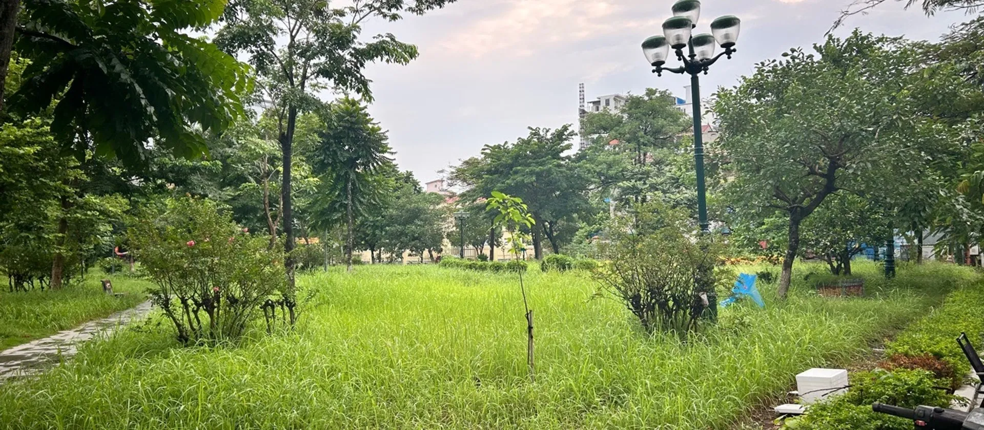 CHÍNH CHỦ BÁN ĐẤT PHÂN LÔ 200M² KĐT BẮC TỪ SƠN (TÂN HỒNG) – TẶNG NHÀ XƯỞNG... Bán kho, nhà xưởng tại Từ Sơn, Bắc Ninh 01