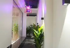 Cơ hội vàng sở hữu biệt thự sang trọng tại Nguyễn Văn Quỳ với giá ưu đãi hiếm có... Bán biệt thự, liền kề tại Phú Thuận, Hồ Chí Minh 05