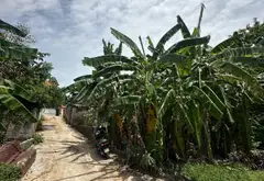 Đất đẹp trung tâm Phúc Thọ, giá hấp dẫn... Bán đất tại Phúc Thọ, Hà Nội 01