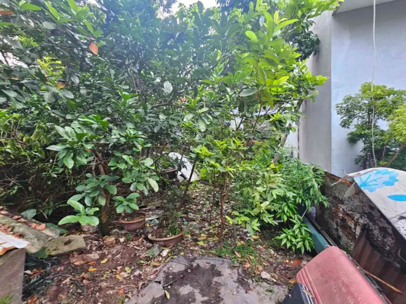 Bán đất hướng Đông Bắc tại Ngọc Trục, diện tích sử dụng 40m2, pháp lý rõ ràng... Bán đất tại Đại Mỗ, Hà Nội 01