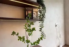 Bán nhà riêng 6 tầng tại Dương Quảng Hàm, Gò Vấp, diện tích 99 m2, thu nhập ổn định... Bán nhà riêng tại An Nhơn, Hồ Chí Minh 02