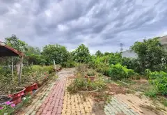 Bán đất rộng 2474.5m2 tại xã Nhơn Đức, Nhà Bè, mặt tiền 27m, pháp lý cơ sở... Bán đất tại Hiệp Phước, Hồ Chí Minh 12