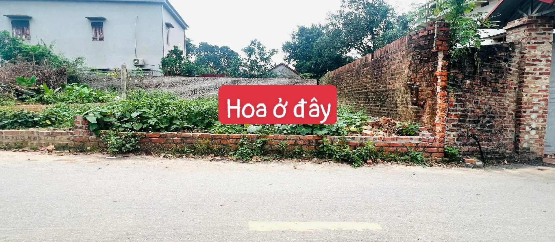Đất đỉnh Vệ Linh Sóc Sơn, thổ cư sẵn, ô tô vào thoải mái... Bán đất tại Sóc Sơn, Hà Nội 01