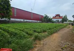 Đất đẹp giá tốt tại Mai Thượng - Việt Yên... Bán đất tại Tự Lạn, Bắc Ninh 15
