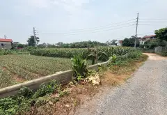 Bán đất lô góc 3 mặt đường Quốc lộ 413, Bất Bạt, Ba Vì, Hà Nội, mặt tiền 58m... Bán đất tại Bất Bạt, Hà Nội 02