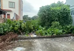 Chủ nhà là họ hàng nhờ bán hộ 100m đất gần trường Đại học Dệt May Hà Nội giá 3tỷ... Bán đất tại Thuận An, Hà Nội 04