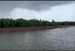 Bán đất nông nghiệp 20.405m2 tại Hiệp Phước, Nhà Bè... Bán đất tại Hiệp Phước, Hồ Chí Minh 02