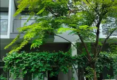 Bán nhà mặt phố tại The Standard Center Park AN GIA, Tân Uyên, Bình Dương – 90m², 4.5 tỷ... Bán nhà mặt phố tại Tân Khánh, Hồ Chí Minh 07