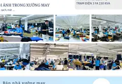 Bán nhà xưởng may - 4.156m² - Phú An, Bình Dương - 54 tỷ... Bán nhà mặt phố tại Bến Cát, Hồ Chí Minh 06
