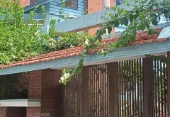 Bán đất chính chủ 100m tại Đại Tài - Nghĩa Trụ Hưng Yên... Bán đất tại Nghĩa Trụ, Hưng Yên 01