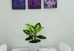 Nhà trong ngõ, ngách, hẻm - 68m² - Láng, Hà Nội - 17.3 tỷ... Bán nhà riêng tại Láng, Hà Nội 07