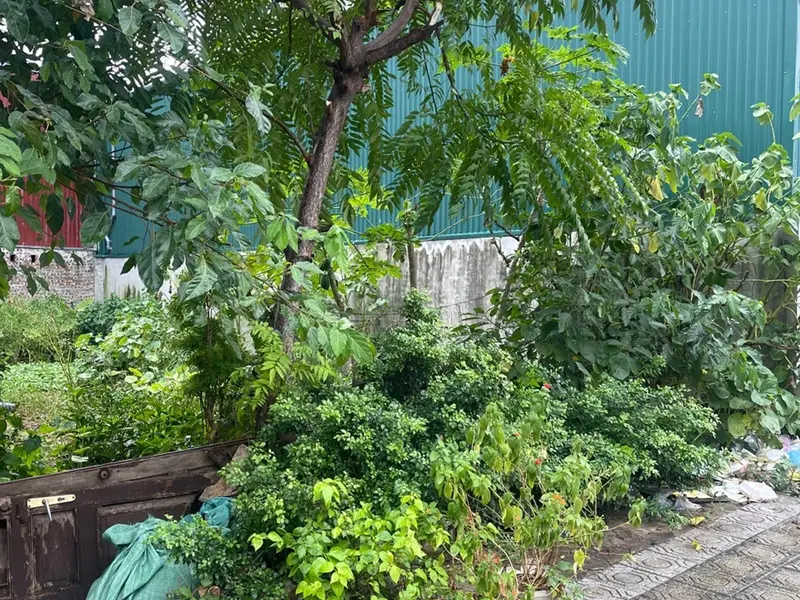 Bán đất 52.6m2 tại khu dịch vụ Vân Canh Hoài Đức giá 10 tỷ... Bán đất tại Hoài Đức, Hà Nội 01
