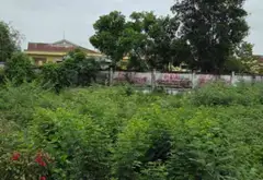 Cơ Hội Vàng Sở Hữu Đất Vuông Vắn Tại Bình Tân, Giá Tốt Duy Nhất... Bán đất tại Bình Tân, Hồ Chí Minh 01