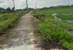 Đất nền tiềm năng tại Thủy Nguyên gần trung tâm Núi Đèo... Bán đất tại Hòa Bình, Hải Phòng 06