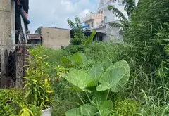 Cơ Hội Sở Hữu Đất 344.5m² ,200m² thổ cư Tỉnh Lộ 8 Củ Chi - Giá Hấp Dẫn 3.2 tỷ đồng... Bán đất tại Bình Mỹ, Hồ Chí Minh 14